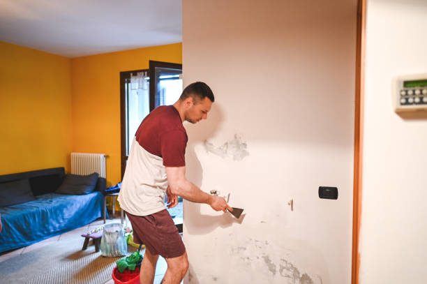 Best Black Mold Removal  in Monroe, MI